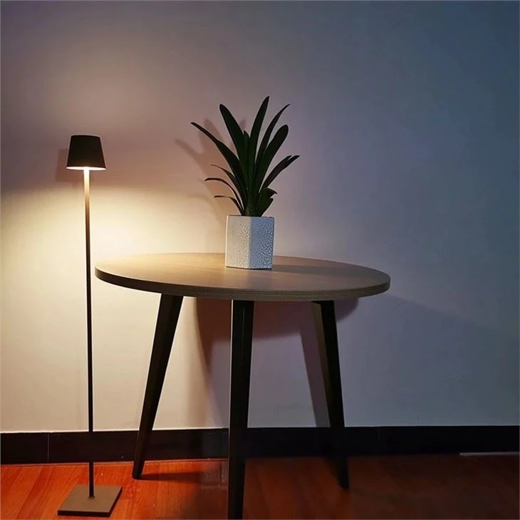 Rechargeable LED Cordless Floor Light